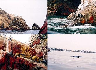 02_islas ballestas 2.jpg